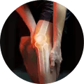 Joint & Bone Care